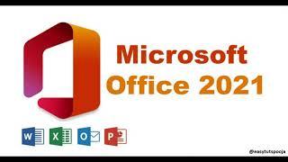 excel fiter by color, Excel filter colored cells, How to filter by color in excel
