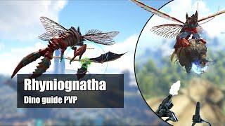 Rhyniognatha PVP Tested | ARK Survival Evolved