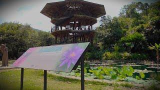 Jardín Botánico de Cali celebra su aniversario | El País Cali