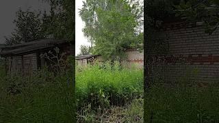 Старый сельский мед.пункт #деревня #заброшенный #медпункт #Shorts #TikTok