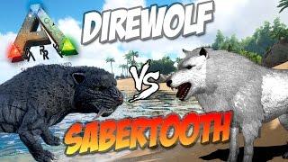  ARK |  Лютоволк (Direwolf) vs Саблезубый Тигр (Sabertooth) #2