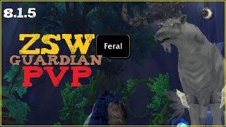 [BFA 8.1.5] Zsw PvP Montage (Feral Druid) - Fin