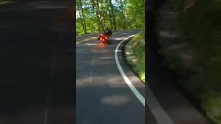 Harley Riders Crash?