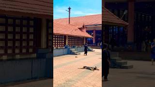 Erumeli Shri DharmaSastha Ayyappa Temple/Swamiye Saranam Ayyappa #erumeli #thelastcholas #shorts