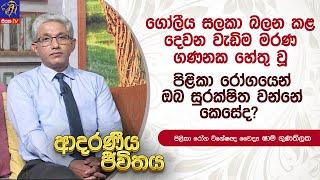 ගෝලීය සලකා බලන කළ දෙවන වැඩිම මරණ ගණනකට හේතු වූ පිළිකා රෝගයෙන් ඔබ සුරක්ෂිත වන්නේ කෙසේද?