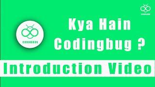 Codingbug Kya Hain? What Is Codingbug? | An Introduction Video (In Hindi)