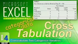 CROSSTABULATION of Two Categorical Variables in Excel (WK4a)