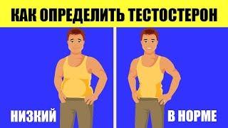 Как определить уровень тестостерона без анализов? Простые способы