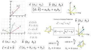 Рассмотрение темы: "Векторы в физике" #физика #школа #самара #7класс #9класс