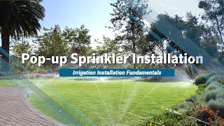 Pop-Up Sprinkler Installation Step-by-Step Tutorial