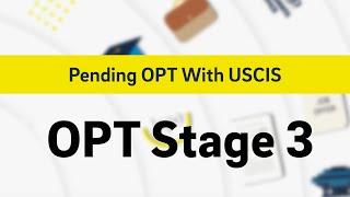 OPT Stage 3 Review: Pending OPT With USCIS