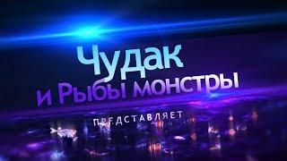 Аквариумистика. Трейлер для видео