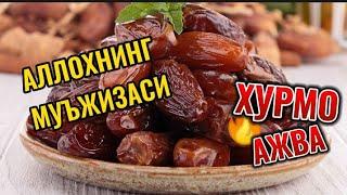 "ХУРМО (АЖВА )" АЛЛОХНИНГ МУЪЖИЗАСИ! БУНИ АЛБАТТА ЭШИТИНГ ВА АМАЛДА КУЛЛАНГ СУННАТНИ ТИРИЛТИРИНГ!