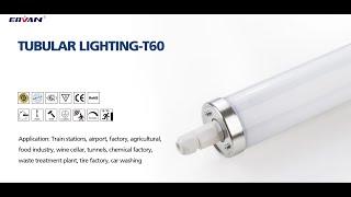 ERVAN LED Tubular Light