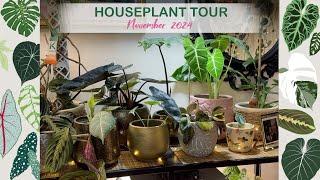 Houseplant Tour - New Plants & Why I lost So Much Of My Collection! 