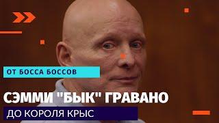 САЛЬВАТОРЕ "СЭММИ БЫК" ГРАВАНО - от босса боссов мафии до КОРОЛЯ КРЫС!