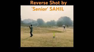 Reverse Six by Sahil. #Cricketlovers#cricket#viral#cricketers#bestsix#bestsixes#hardhitting