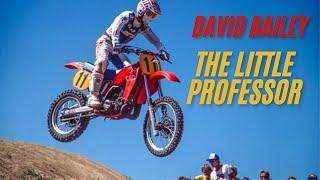 The Little Professor David Bailey (Edit)