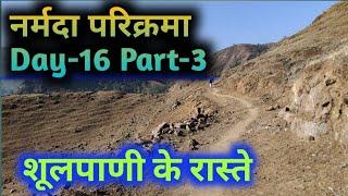 Narmada Parikarma Day-16 Part-3 शूलपाणी के रास्ते #narmadaparikrama #ramramindia #narmada