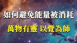 你最大的能量消耗可能就在這裏！如何避免我們的能量被白白消耗？萬物有靈，以覺為師。#能量#業力 #宇宙 #精神 #提升 #靈魂 #財富 #認知覺醒 #修行