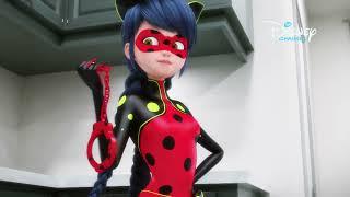 Hol van Katicabogár és Fekete Macska? | Miraculous | Disney Csatorna