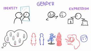 Sex vs Gender vs Orientation