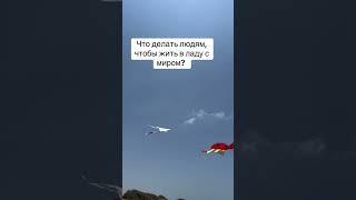 В ладу с миром