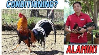 Sagot ni Atty Abrenica Sa Mga Katanungan ng Mga Kasabong