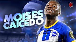 Moisés Caicedo 2023 - Welcome to Chelsea - Defensive Skills - HD