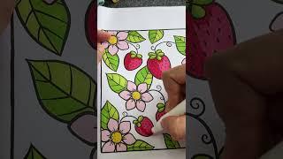 Coloring in the Coloring Book „Flowers“ with Ohuhu Markers