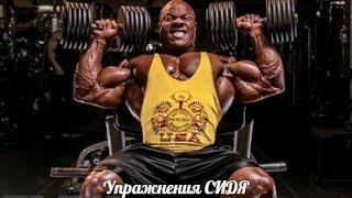 МЕЖПОЗВОНОЧНЫЕ ГРЫЖИ - Упражнения СИДЯ от HeavyMetalGYM