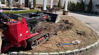 Mini Skid Steer TORO DINGO TX 427 Lawn Renovation on a job with On Point Everything