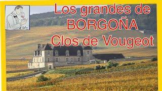 (104) Los grandes VINOS de BORGOÑA, CLOS DE VOUGEOT