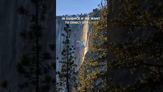Consistent Actions, Infinite Impact  #shorts #inspirations #mindfulness