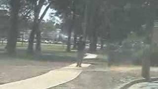 Magpie Madness