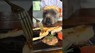 Carne de Rã  da Chef Maori Blue  Nossa Rotina #americanbully