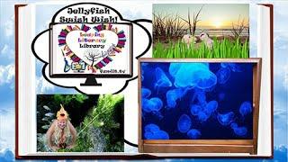 Jellyfish Swish Wish Leaping Literacy Library ETV