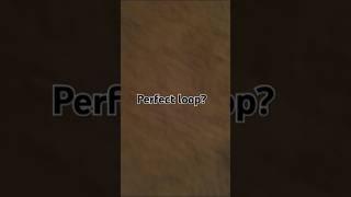 Perfect loop? #loop