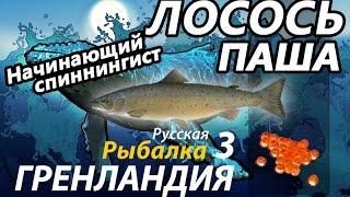 Лосось Паша / РР3 [ Русская рыбалка 3.9 Гренландия]