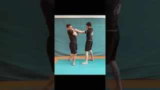 Peter Mettler Martial Arts Training & Tutorial Highlight