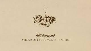 Gísli Gunnarsson - Stream of Life ft. Mario Infantes