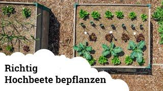 Hochbeet richtig bepflanzen, um möglichst viel zu ernten! 