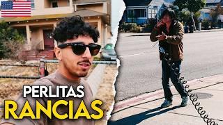 PERLITAS de Los Angeles & Nueva York: Ropa Rancia - Adictos - Barrio Chino - Codigos Millonarios 