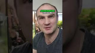 Zakładamy 54l akwarium   #akwarystyka