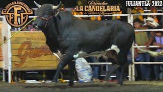 Es el Toro con la mejor línea genética de RANCHO LA CANDELARIA | Jaripeo en Juliantla Guerrero 2022