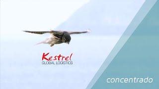 Kestrel Global Shipping