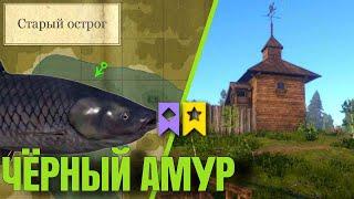 Старый Острог | Высидка ЧЁРНОГО АМУРА | Русская Рыбалка 4