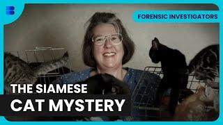 Shocking Clue Solves Vet Murder | Forensic Investigators | Banijay Science