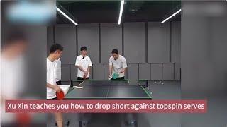 【table tennis】Xu Xin teaches you how to drop short against topspin serves（reupload）.