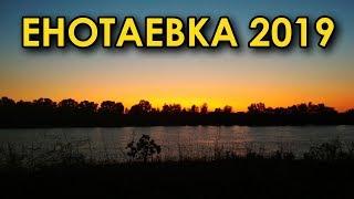 Енотаевка 2019